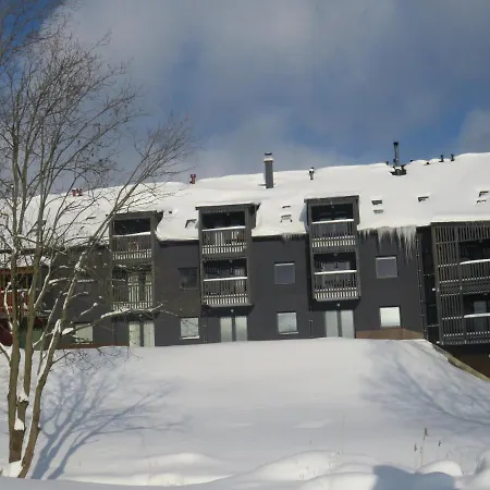 Apartament Honey Dolna Morawa
