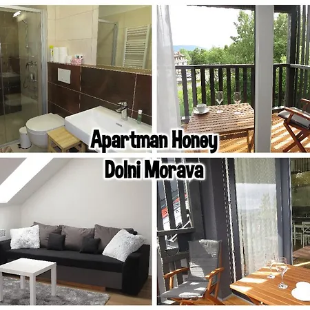 Honey Dolni Morava