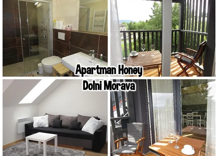 Honey Dolní Morava